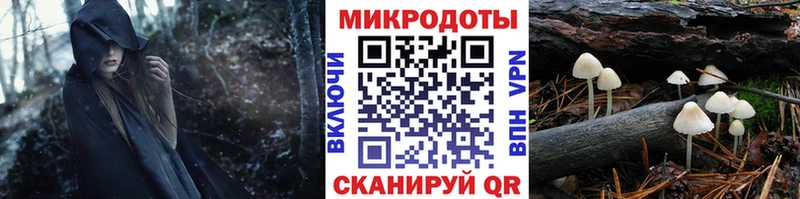 OMG tor  Подпорожье  Псилоцибиновые грибы мухоморы 